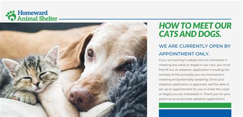 Pet Adoption - Search dogs or cats near you. Adopt a Pet Today. Pictures of dogs and cats who need a home. Search by breed, age, size and color. Adopt a dog, Adopt a cat.